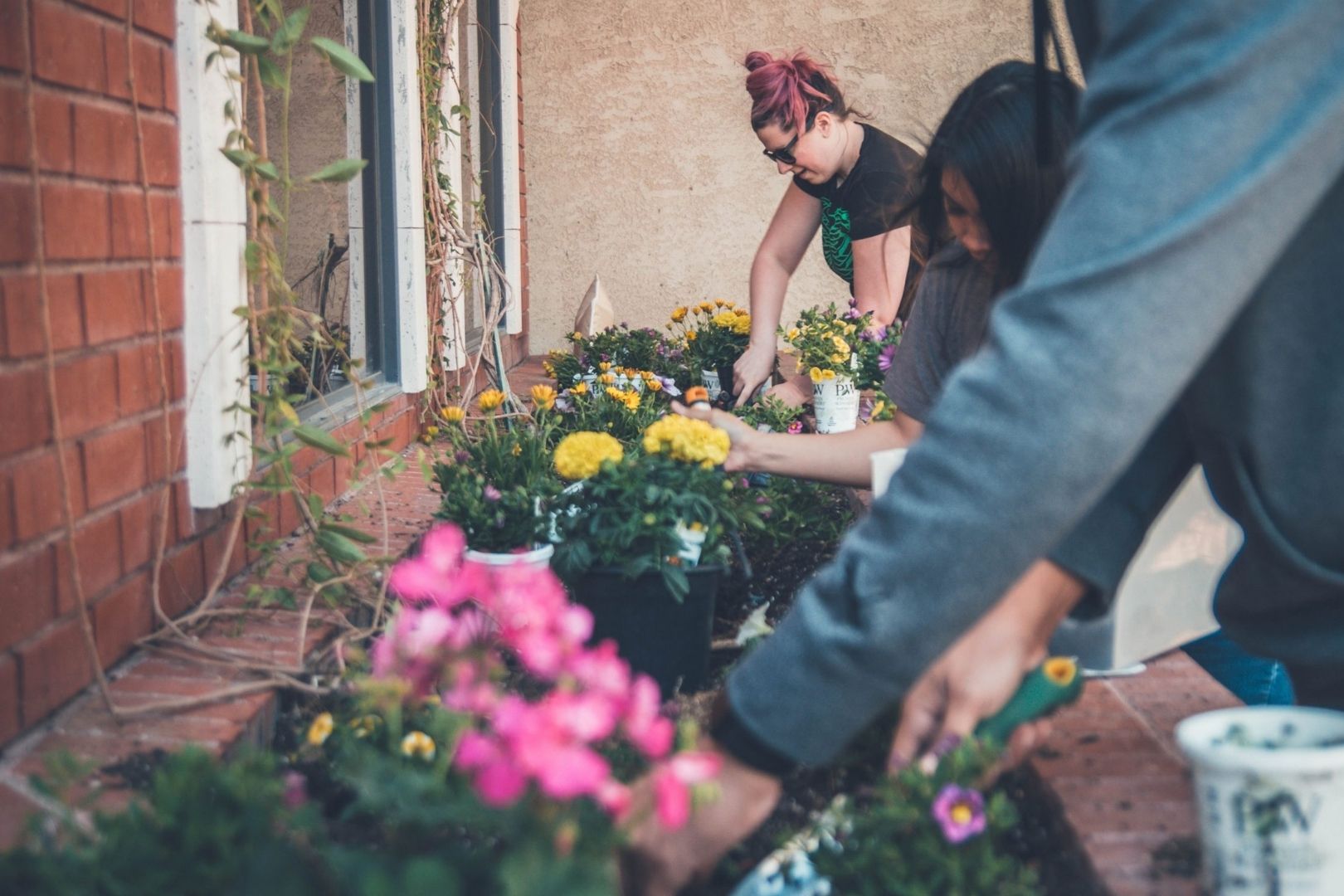 People gardening